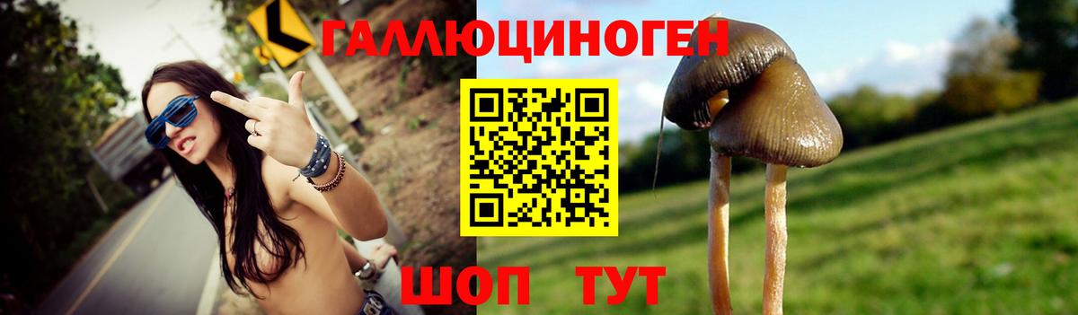 Галлюциногенные грибы ЛСД  Вход с VPN  Вольск 